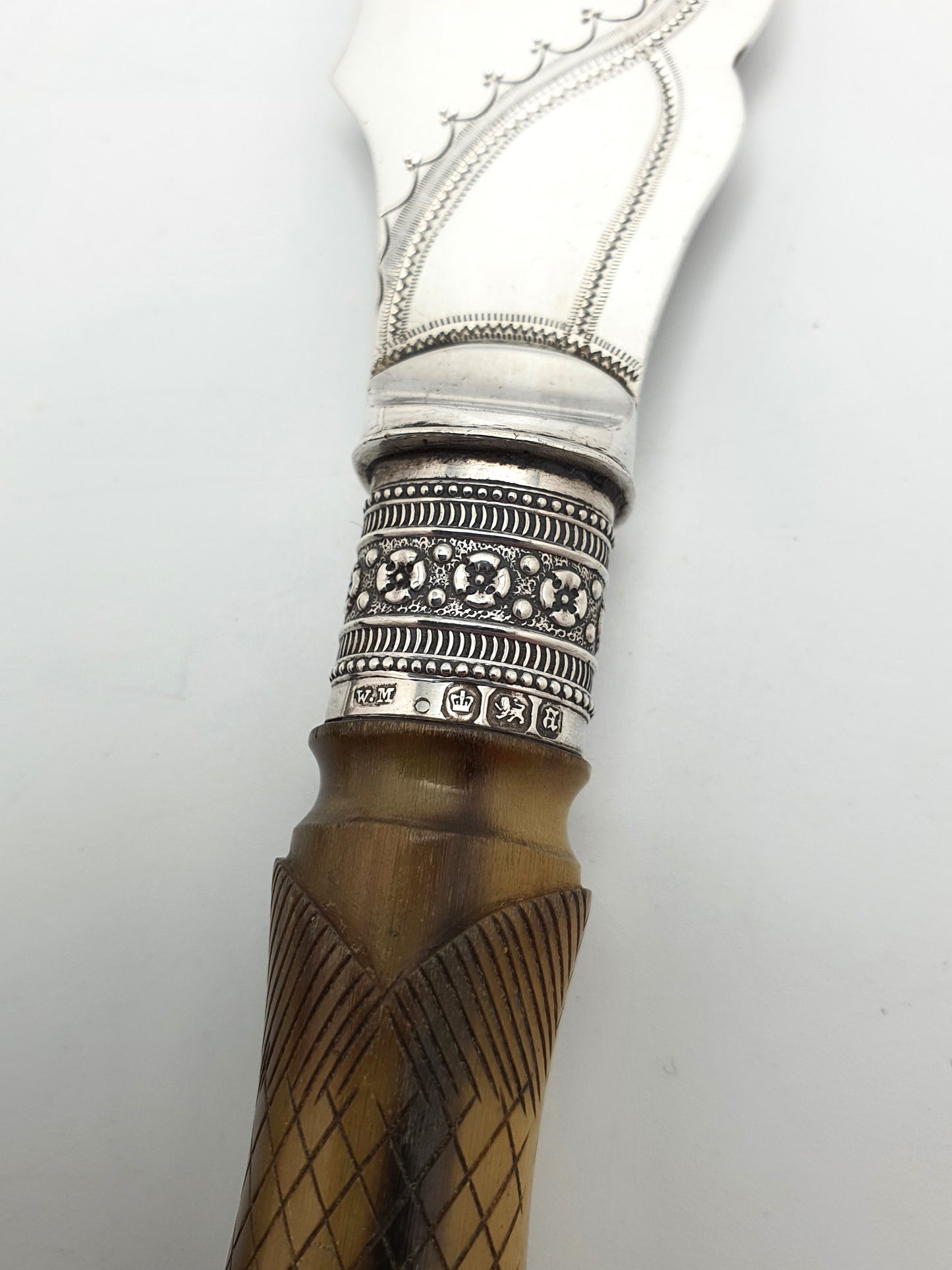 Rare Antique Fish Serving Set with Beautifully Carved Fish Handles - 1893