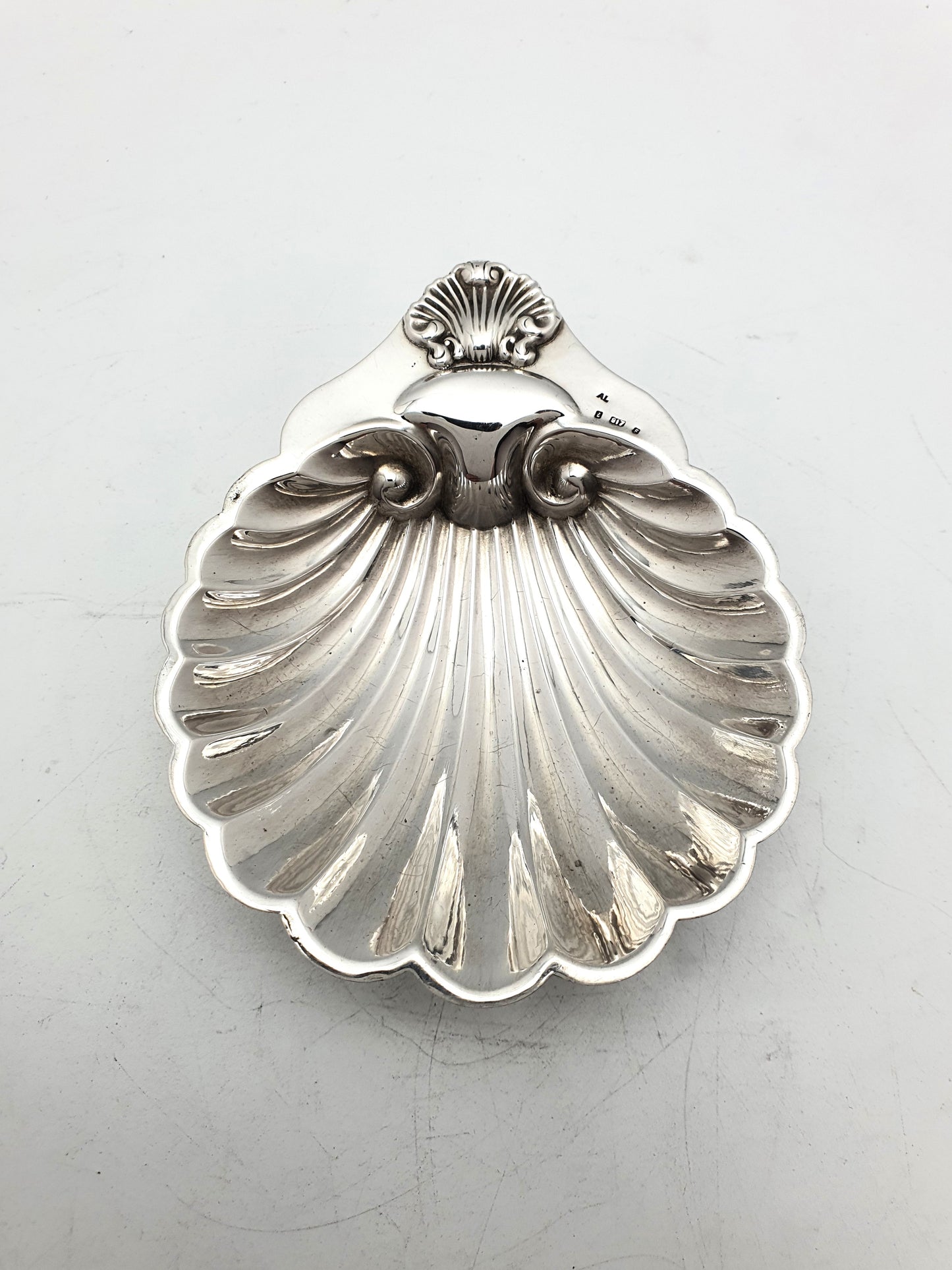 Pretty Continental Silver Shell Shaped Butter Dish – circa 1920