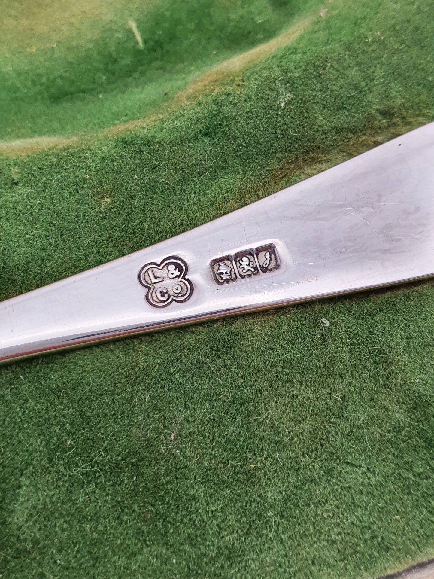 Pair of Scottish Sterling Silver Preserve Spoons in Fitted Case - 1906