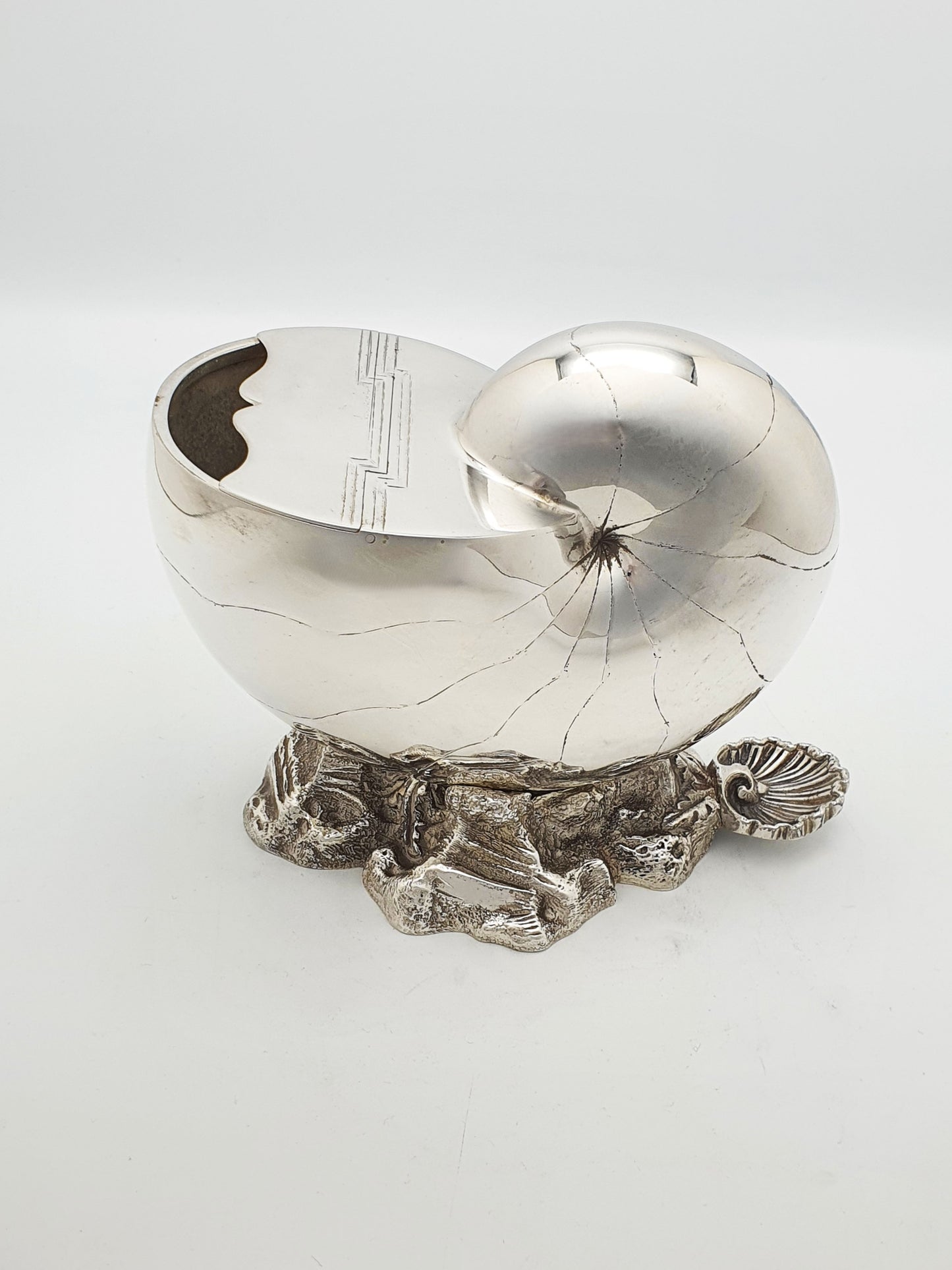 Fabulous Antique Victorian Silver-Plated Nautilus Spoon Warmer – circa 1880