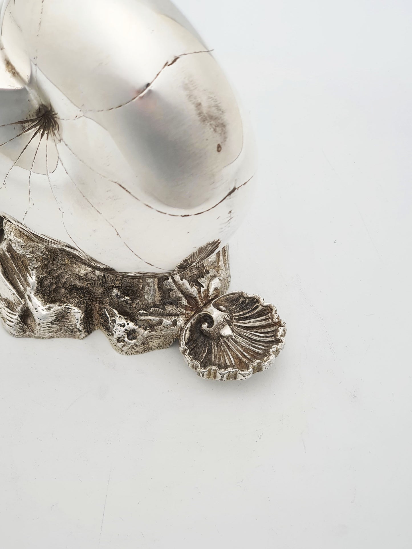 Fabulous Antique Victorian Silver-Plated Nautilus Spoon Warmer – circa 1880