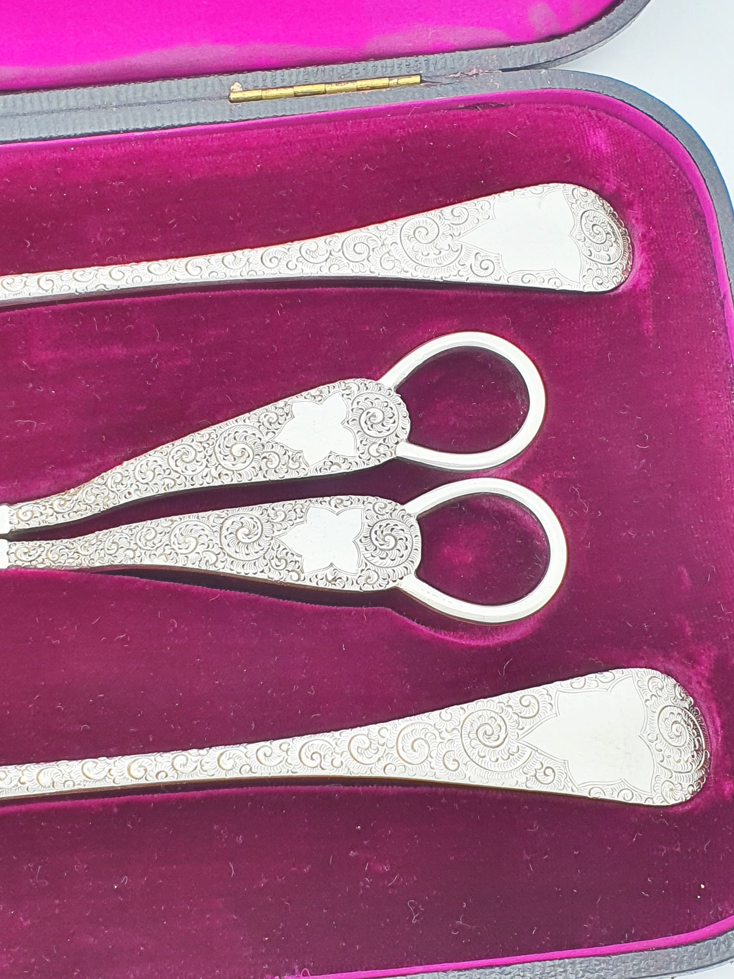 Gorgeous Ornately Engraved Antique Victorian Fruit Set - circa 1890