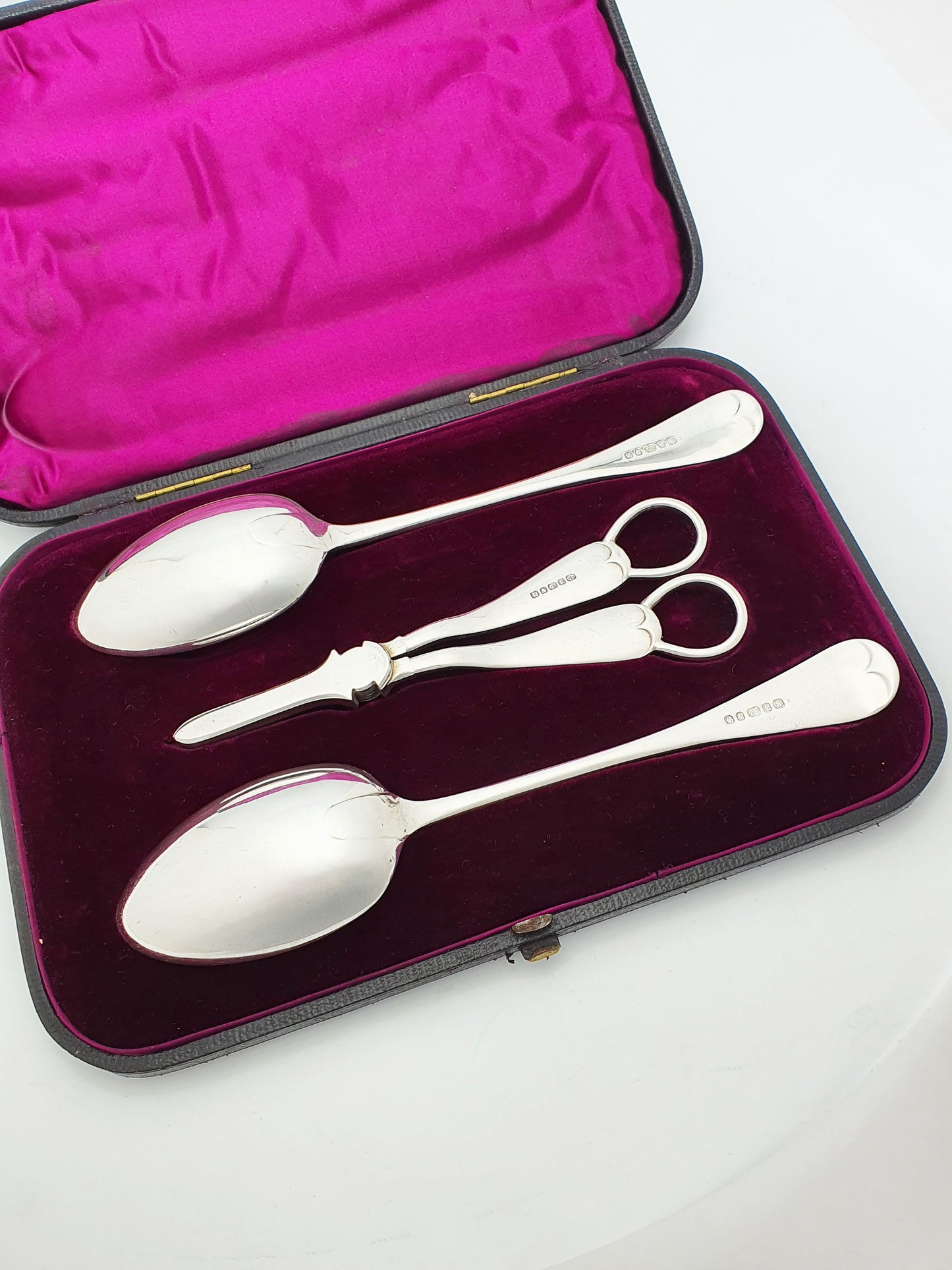 Gorgeous Ornately Engraved Antique Victorian Fruit Set - circa 1890