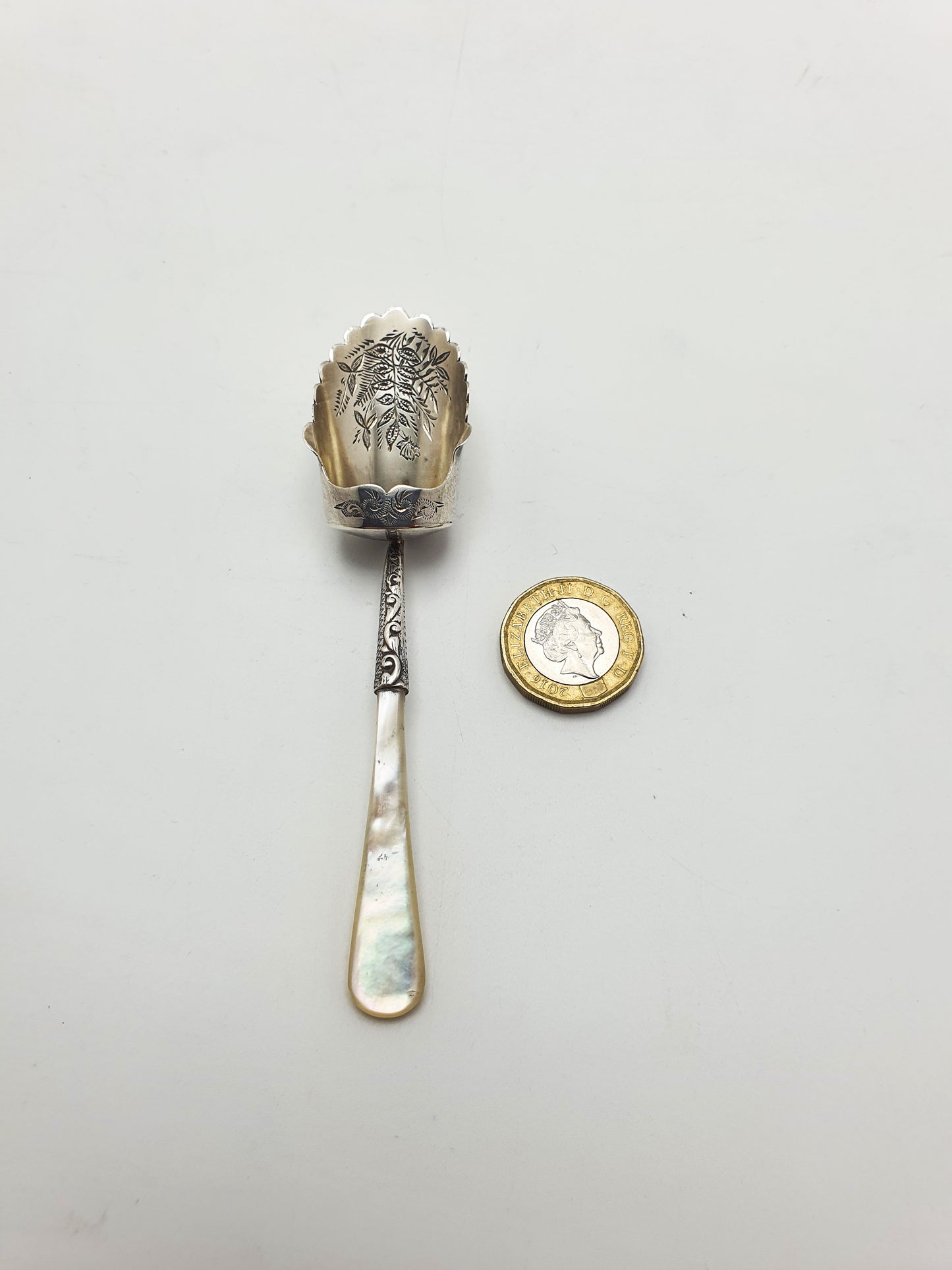 Pretty Antique Victorian Sterling Silver & Mother-of-Pearl Caddy Spoon - 1895