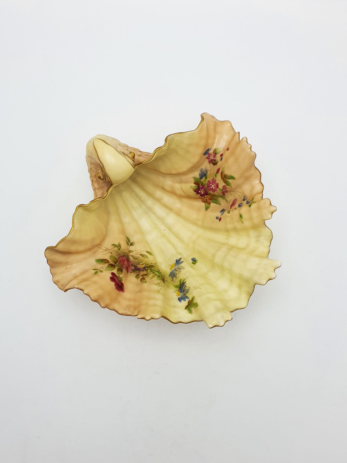 Royal Worcester Blush Ivory Shell Dish with Gilt Edge and Floral Sprays – 1900