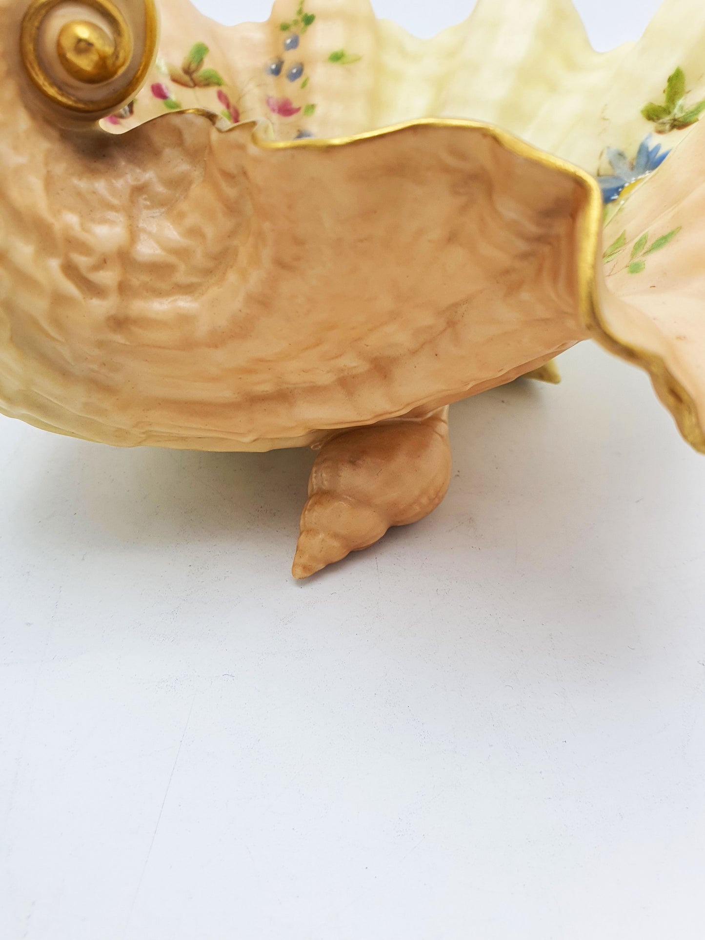 Royal Worcester Blush Ivory Shell Dish with Gilt Edge and Floral Sprays – 1900