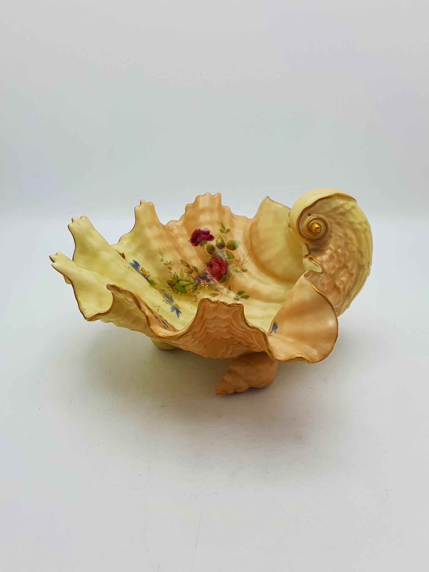 Royal Worcester Blush Ivory Shell Dish with Gilt Edge and Floral Sprays – 1900