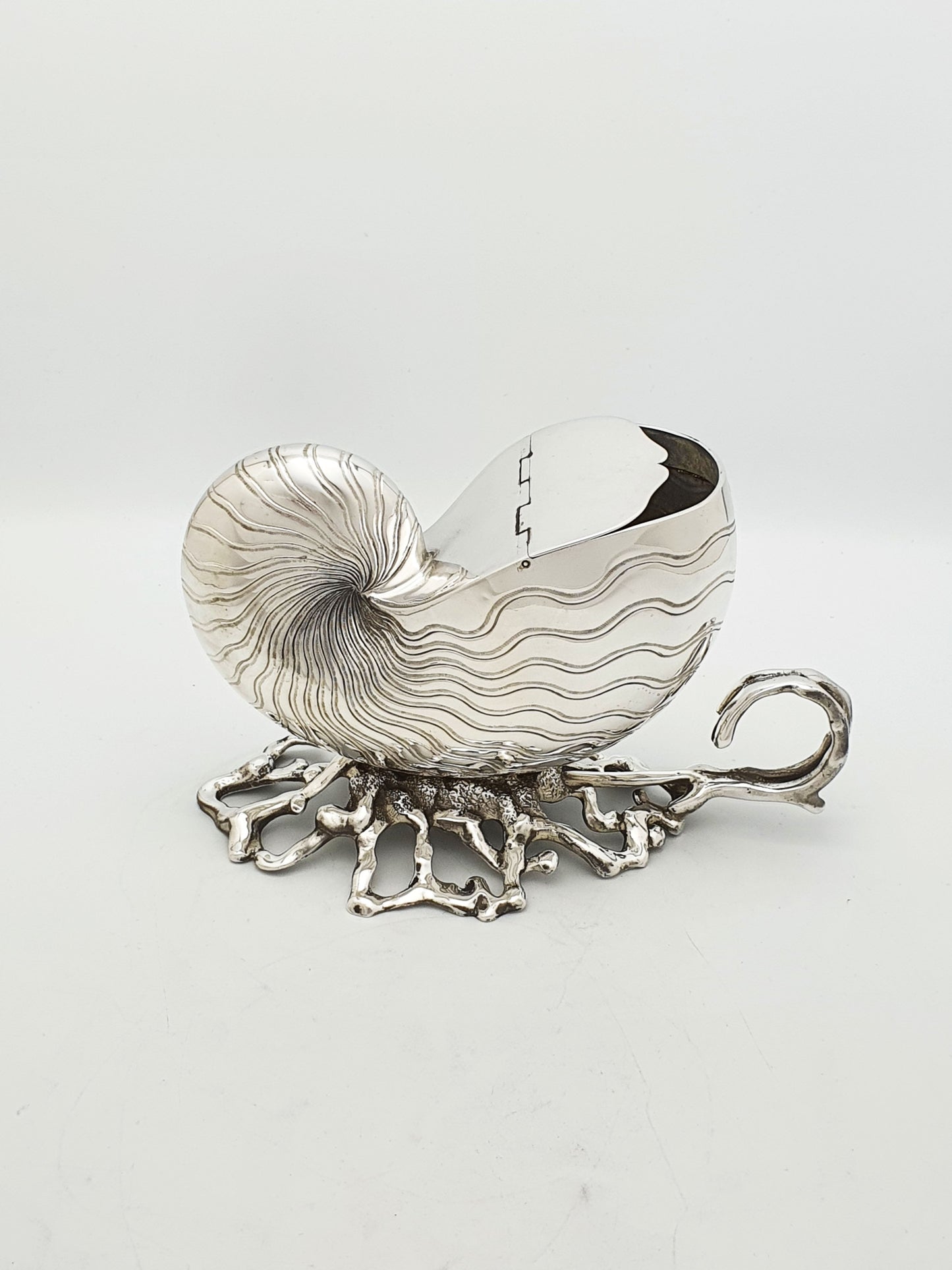 Gorgeous Antique Silver Plated Nautilus Shell Spoon Warmer – circa 1860