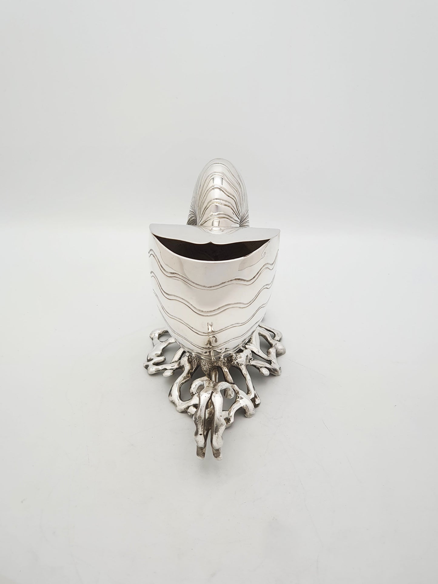 Gorgeous Antique Silver Plated Nautilus Shell Spoon Warmer – circa 1860
