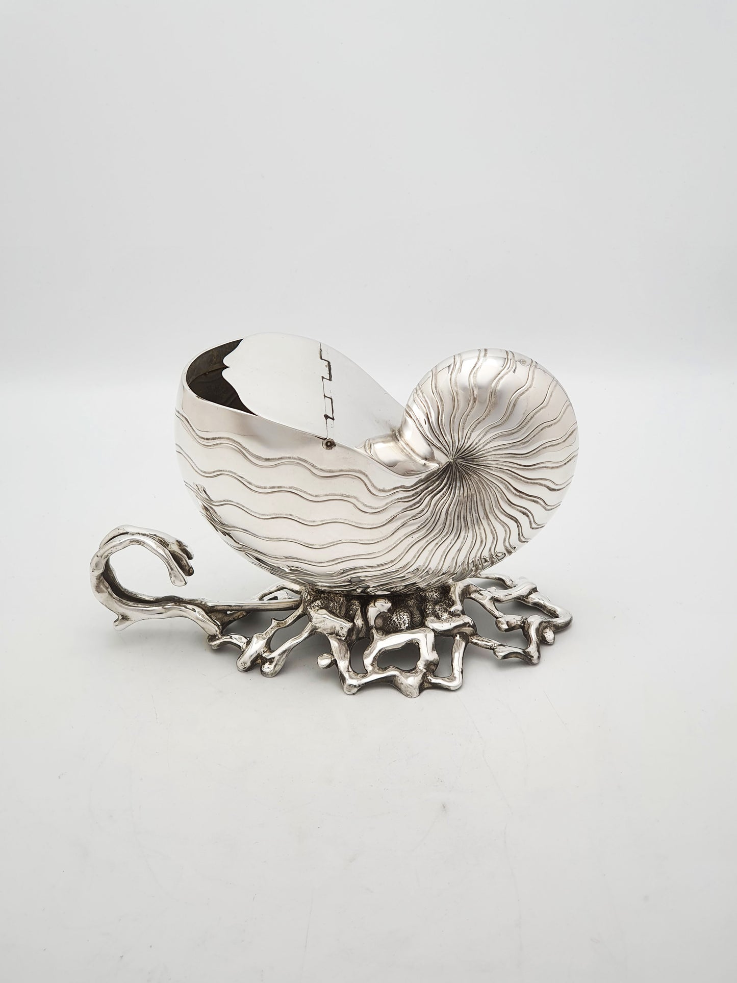 Gorgeous Antique Silver Plated Nautilus Shell Spoon Warmer – circa 1860