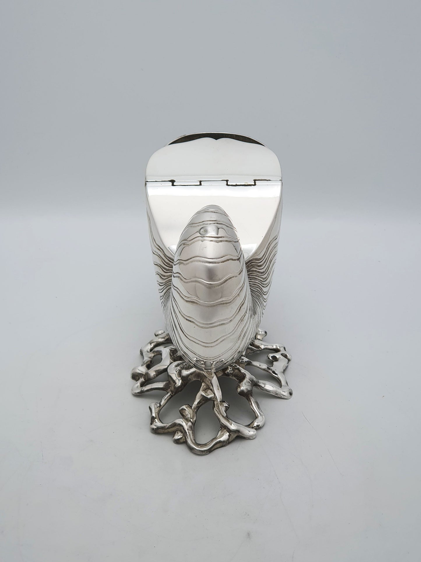Gorgeous Antique Silver Plated Nautilus Shell Spoon Warmer – circa 1860