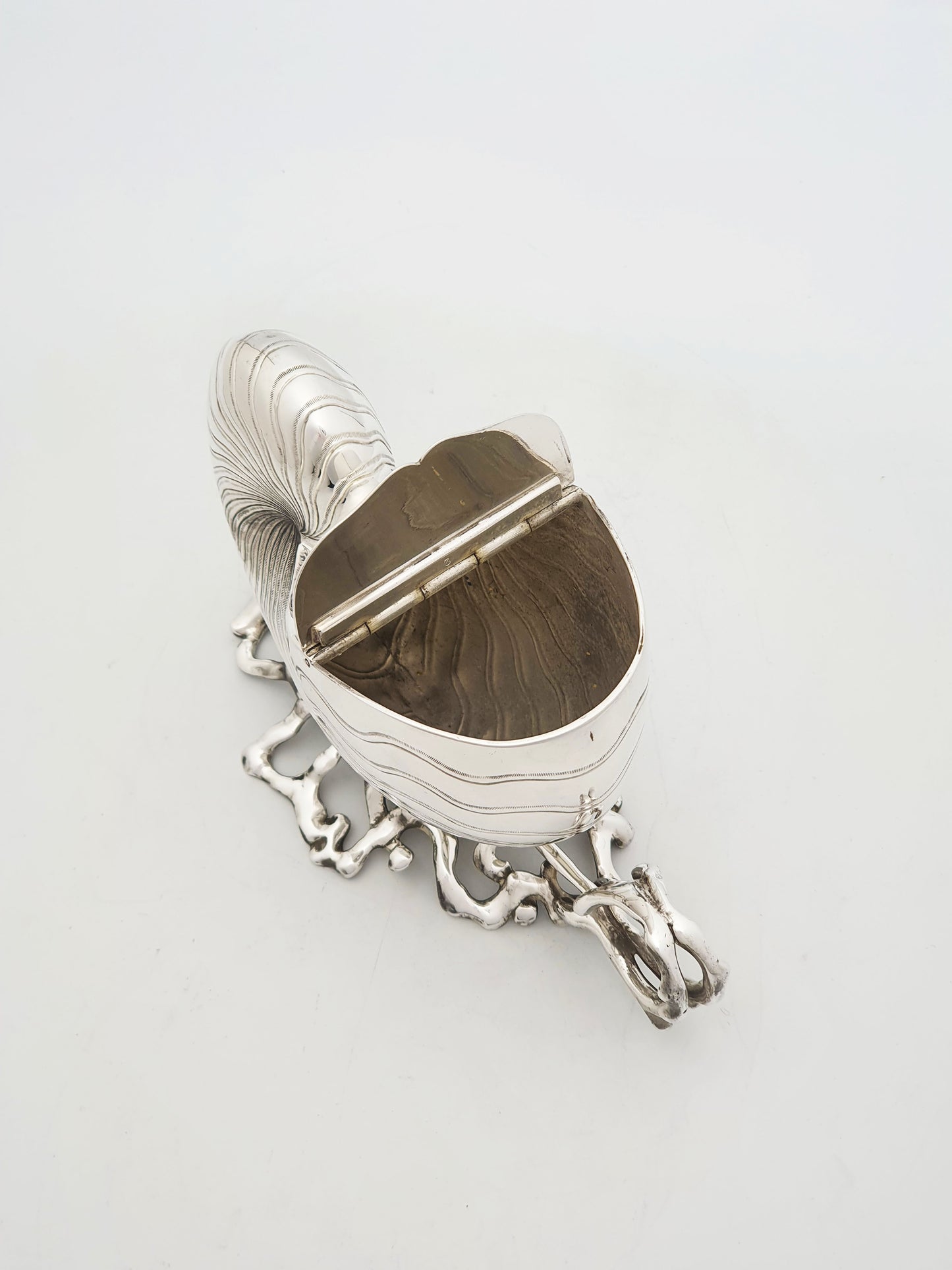 Gorgeous Antique Silver Plated Nautilus Shell Spoon Warmer – circa 1860