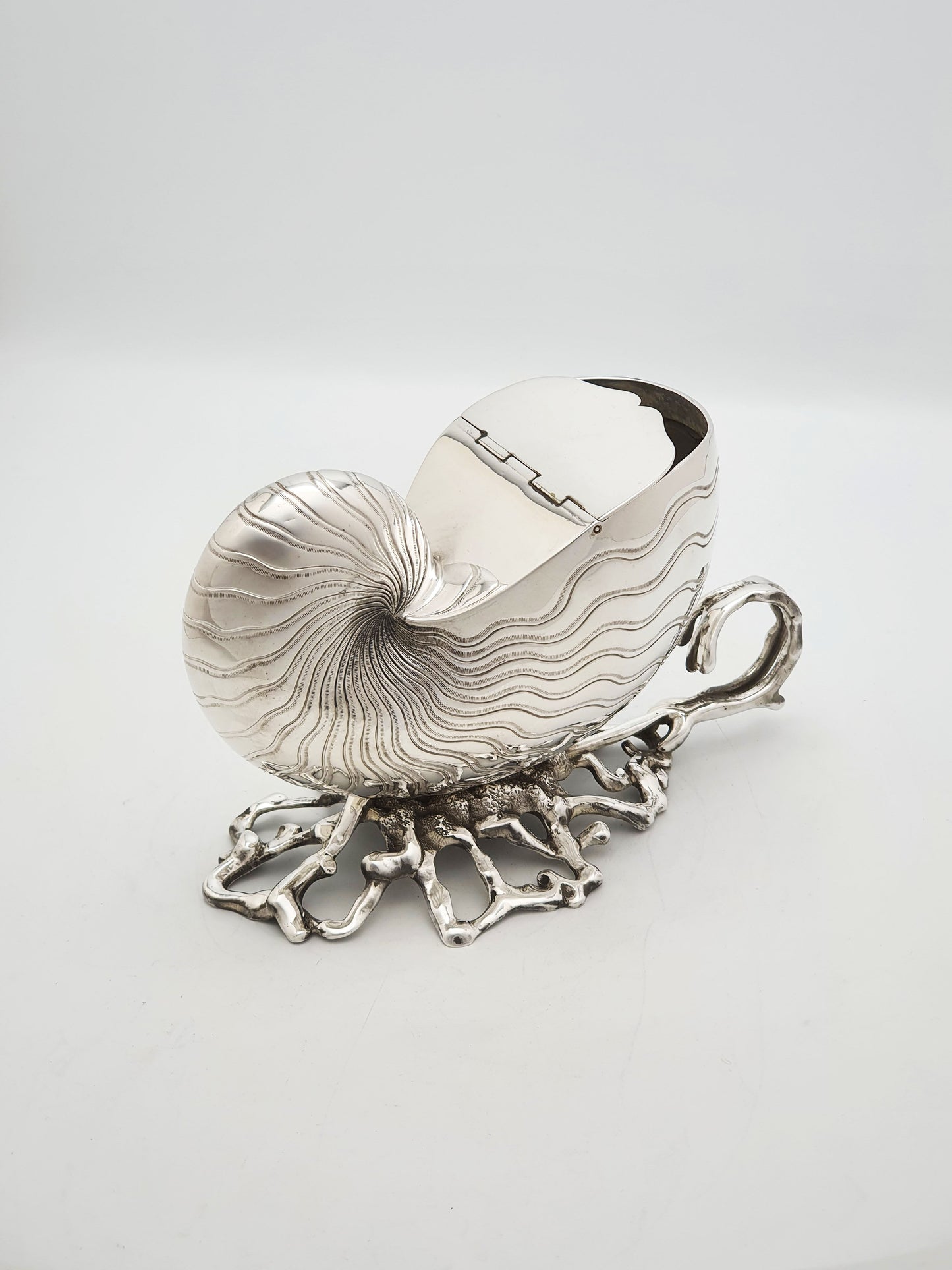 Gorgeous Antique Silver Plated Nautilus Shell Spoon Warmer – circa 1860