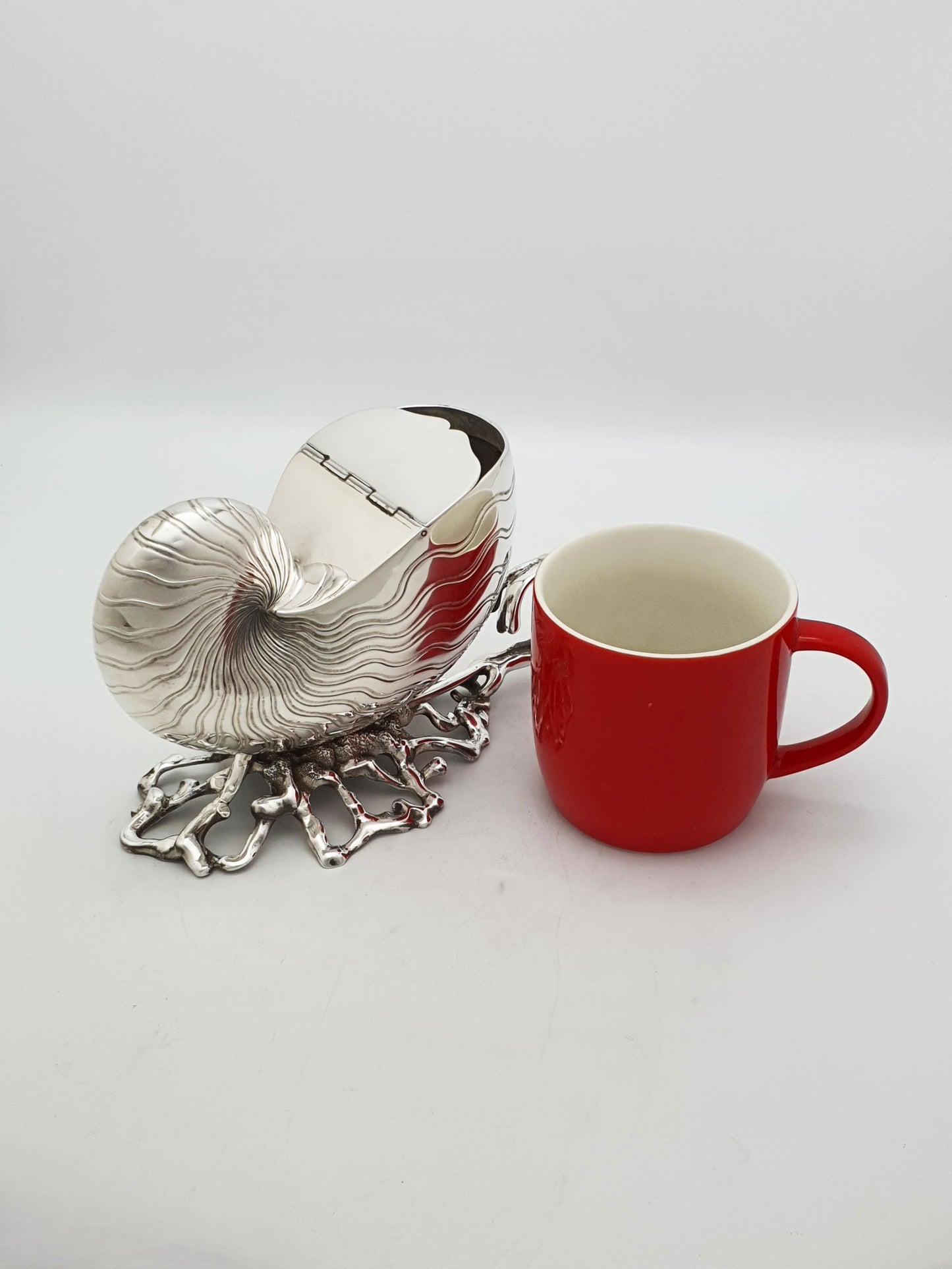 Gorgeous Antique Silver Plated Nautilus Shell Spoon Warmer – circa 1860