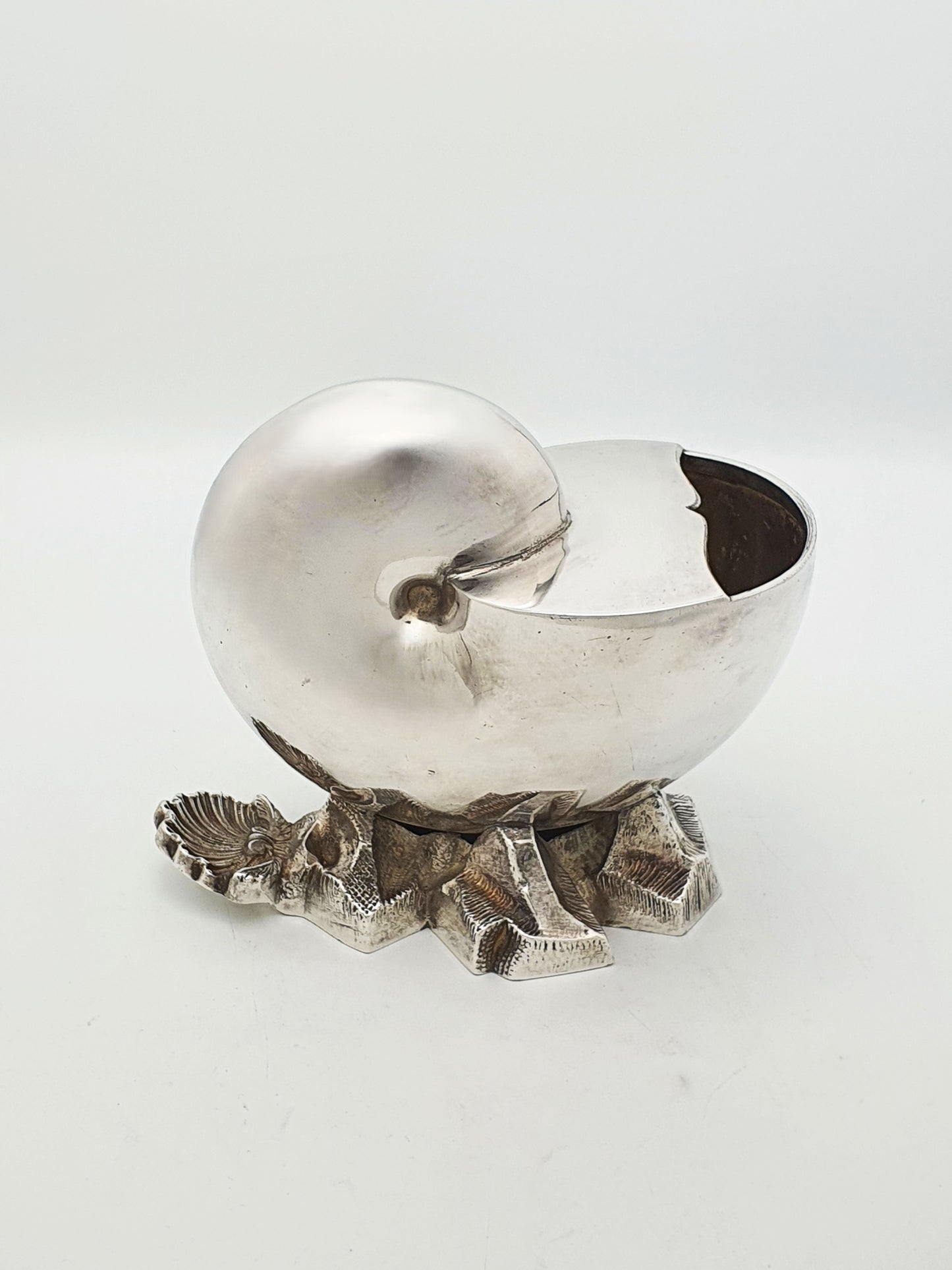 Antique Victorian Silver Plated Nautilus Shell Spoon Warmer - circa 1890
