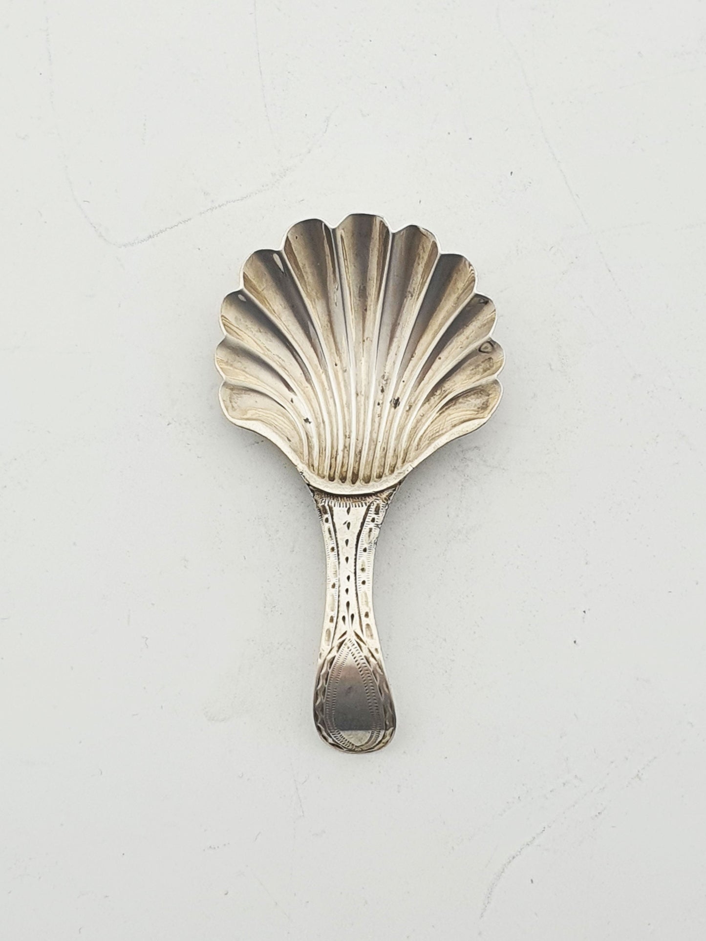 Antique Georgian Sterling Silver Scallop Shell Caddy Spoon – London, 1788