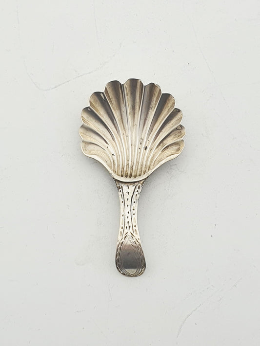 Antique Georgian Sterling Silver Scallop Shell Caddy Spoon – London, 1788