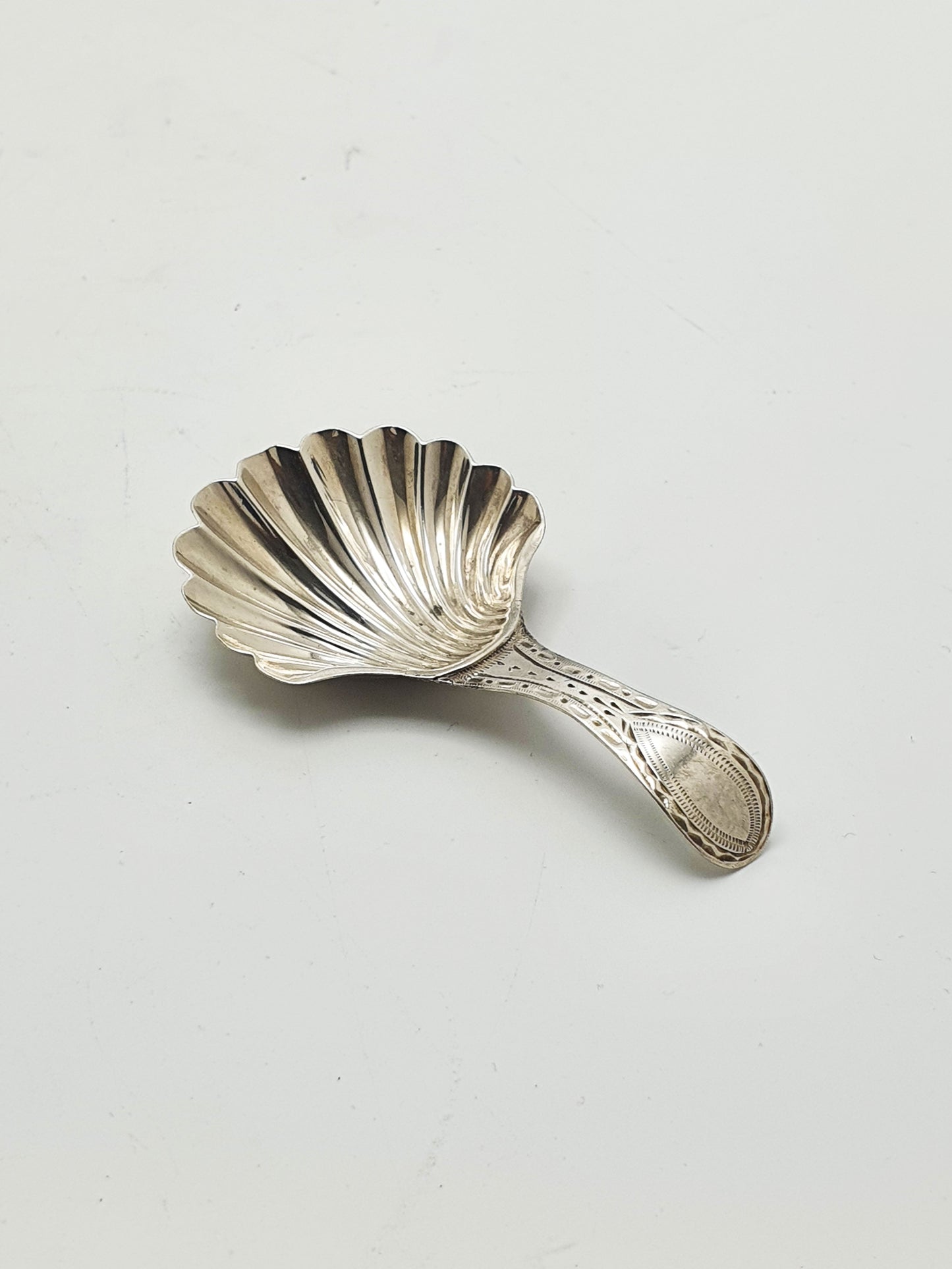 Antique Georgian Sterling Silver Scallop Shell Caddy Spoon – London, 1788