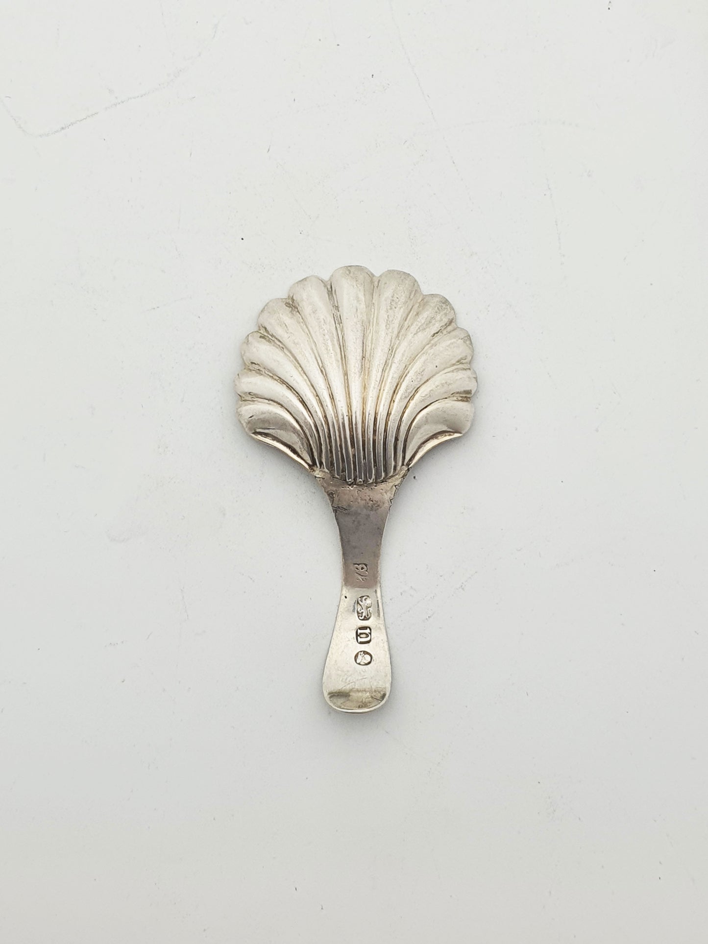 Antique Georgian Sterling Silver Scallop Shell Caddy Spoon – London, 1788