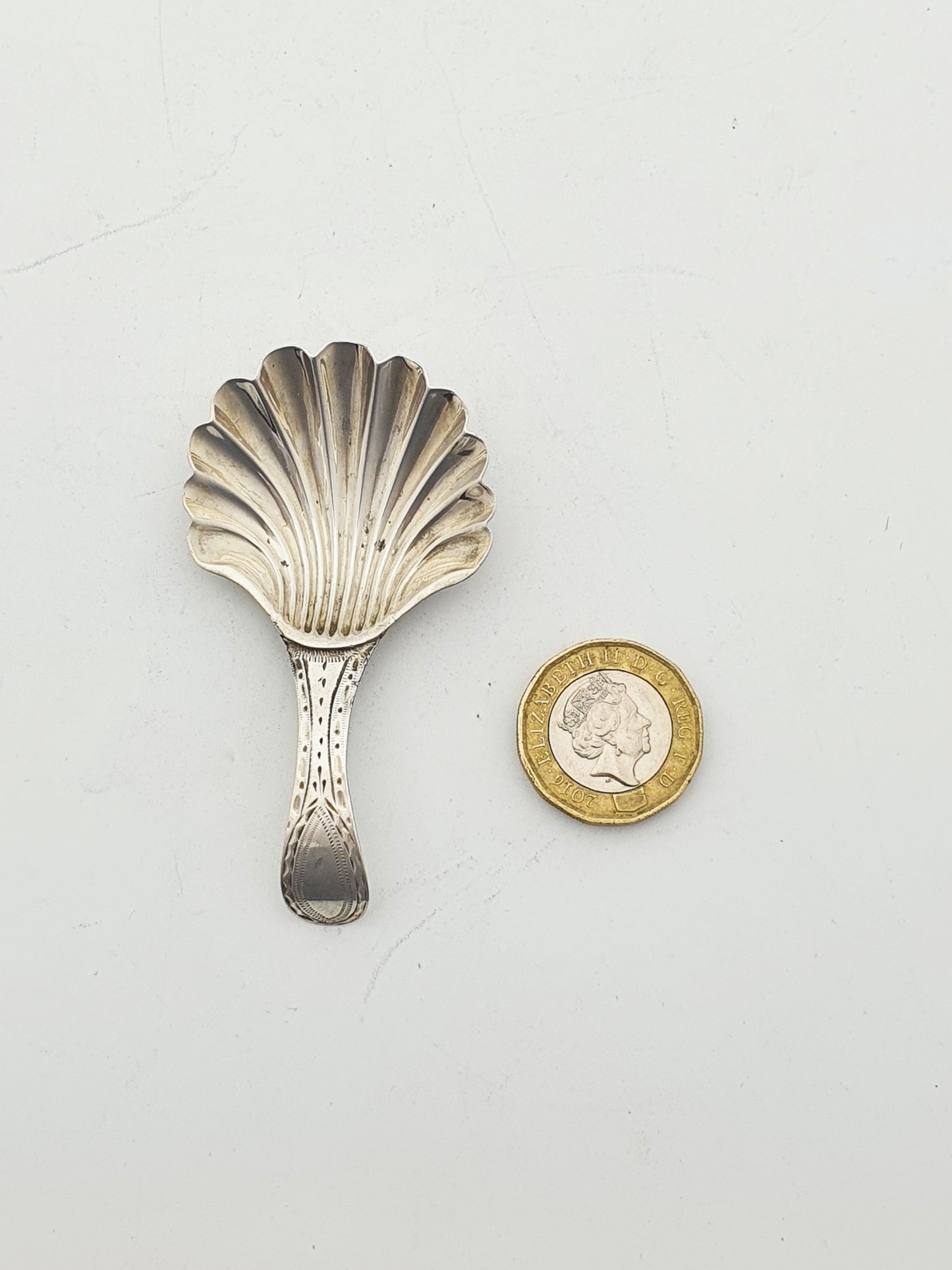 Antique Georgian Sterling Silver Scallop Shell Caddy Spoon – London, 1788