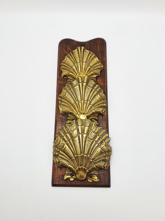 Superb Antique Brass Scallop Shell Letter Rack On Wooden Wall Plaque – circa 1905
