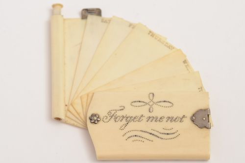 Delightful Victorian Ivory Memo/Note Case