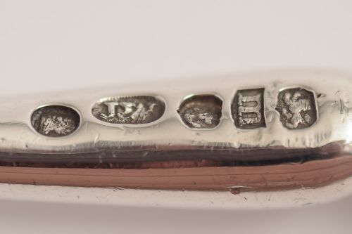 Silver & Ivory Handled Georgian Stilton Scoop