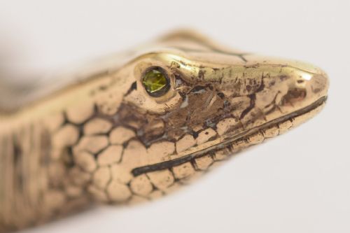 Charming Victorian Cast Brass Lizard Matchbox Holder