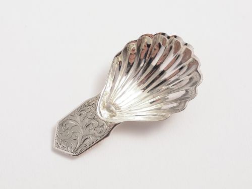 A silver shell shaped caddy spoon