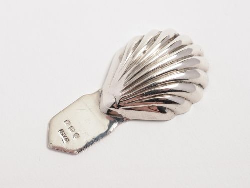 A silver shell shaped caddy spoon