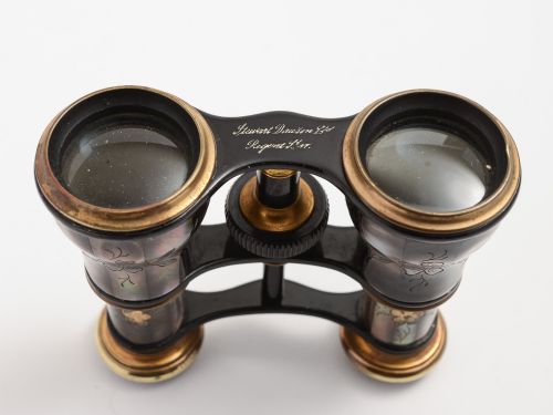 Edwardian Mother of Pearl & Brass Opera Glasses