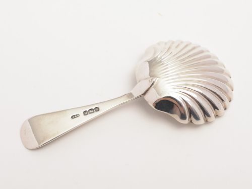 Edwardian Silver Tea Caddy Spoon Sheffield 1905