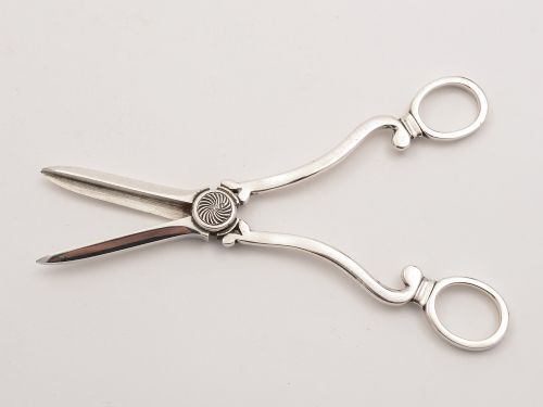 Pair of Edwardian Silver Grape Scissors London 1906