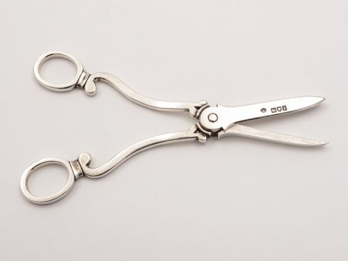 Pair of Edwardian Silver Grape Scissors London 1906