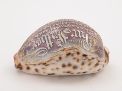 Cowrie Shell Carved with Lords Prayer Circa 1900