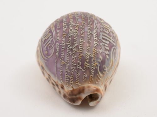 Cowrie Shell Carved with Lords Prayer Circa 1900