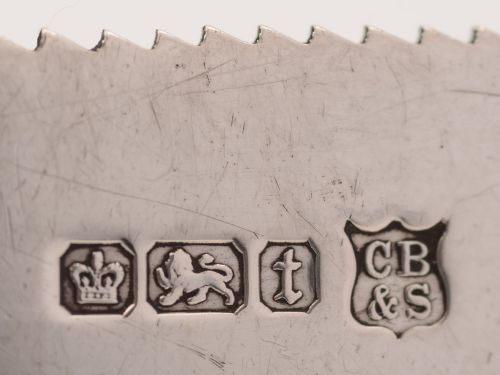 Scottish Agate Handled Silver Cake Knife Sheffield 1911