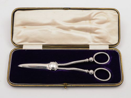 Cased Pair of Edwardian Grape Scissors Circa 1905