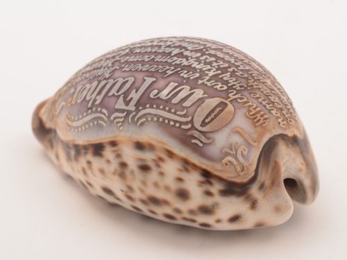 Cowrie Shell Carved with Lords Prayer Circa 1900