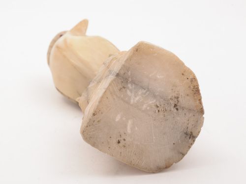 Victorian Alabaster Bird of Prey Circa 1890