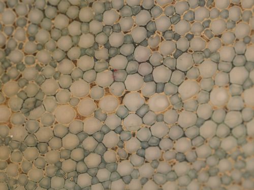 Art Deco Polished Shagreen Table Box Circa 1930