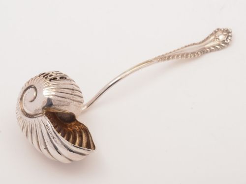 Edwardian Silver Plated Nautilus Shell Sugar Sifter Circa 1905