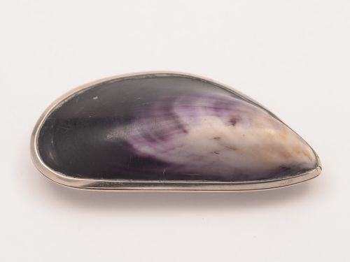Victorian Mussel Shell Vesta Case Circa 1890