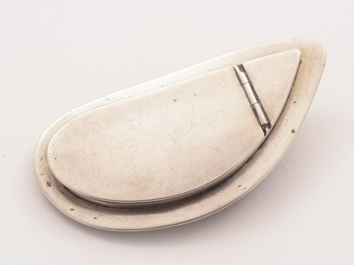 Victorian Mussel Shell Vesta Case Circa 1890