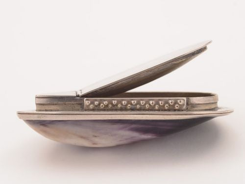 Victorian Mussel Shell Vesta Case Circa 1890