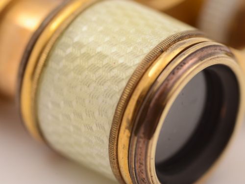 Edwardian Brass and Guilloche Enamelled Opera Glasses Circa 1905