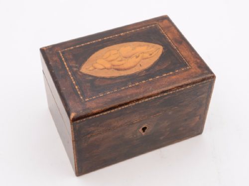 Edwardian Pen-Work Tea Caddy Circa 1905