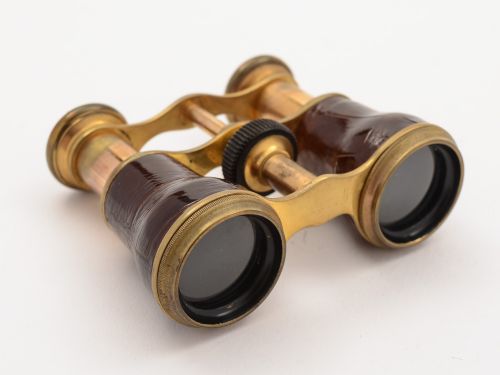 Pair of Crocodile Skin Opera Glasses Circa 1900
