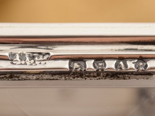 Victorian Travelling Silver and Glass Vesta Box