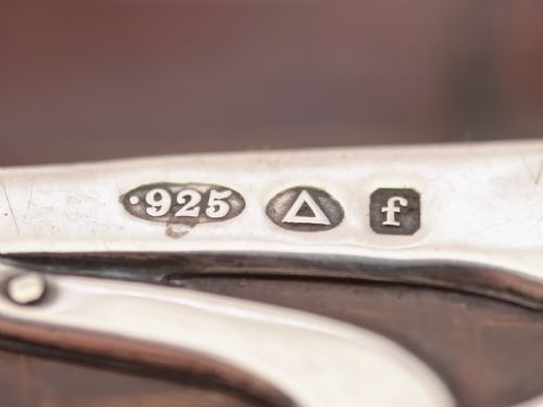 Edwardian Silver and Crocodile Purse Birmingham 1906